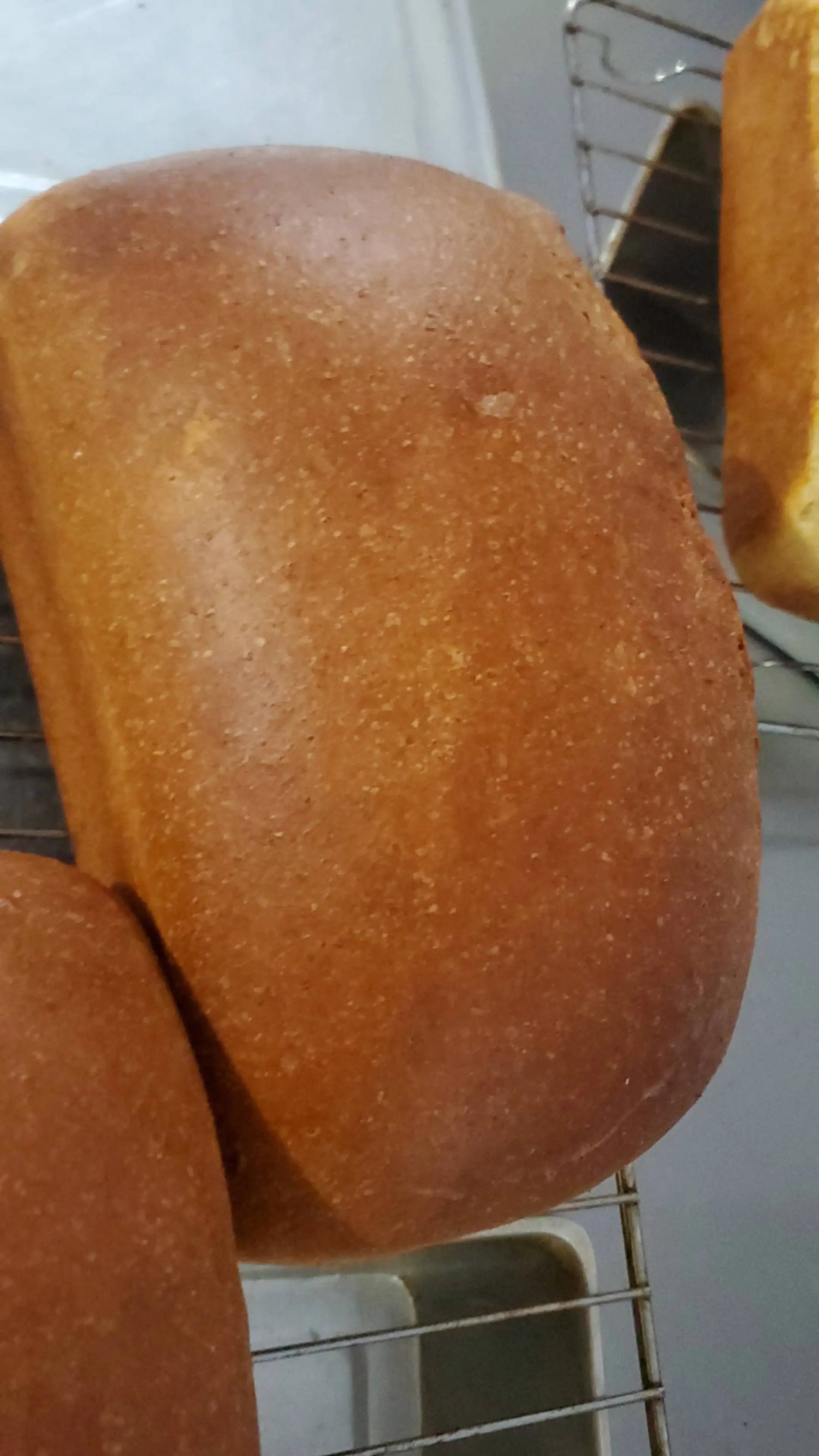Sourdough Bread