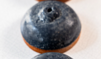 Blueberry Dream